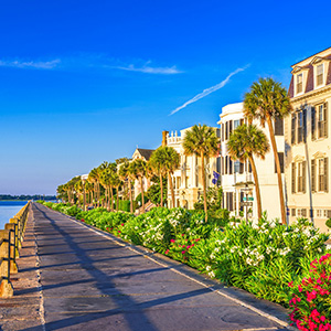 The Art Lover’s Guide to Collecting Fine Art in Charleston, SC, & Vicinity